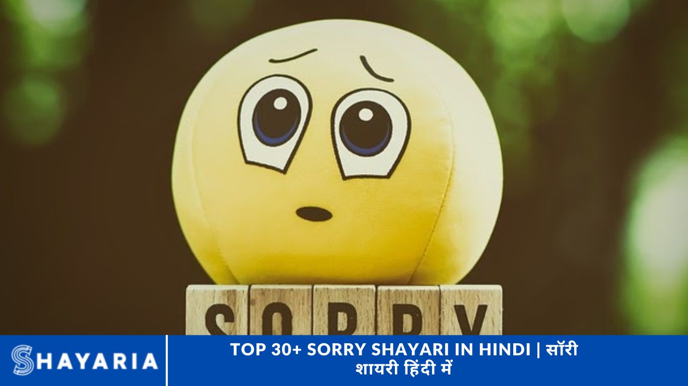 Top 30+ Sorry Shayari in Hindi | सॉरी शायरी हिंदी में